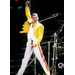 Freddie Mercury